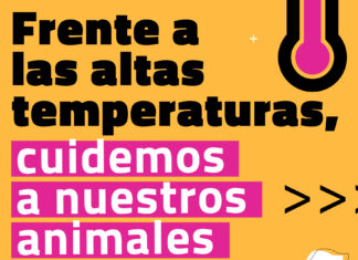 El calor: un factor poco reconocido en el bienestar animal