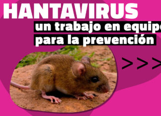 Hantavirus: un trabajo en equipo para la prevención