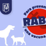 Placas-rabia