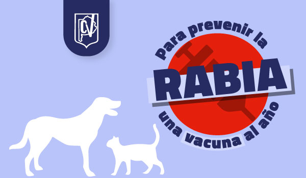 Placas-rabia