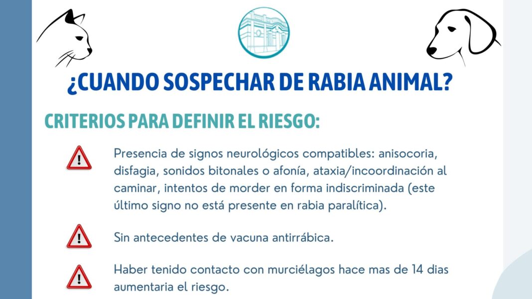 Rabia