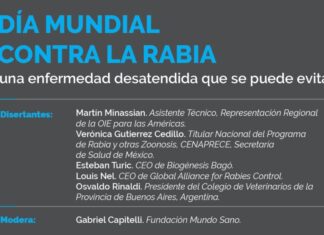 Rabia: «Una enfermedad desatendida que se puede evitar»