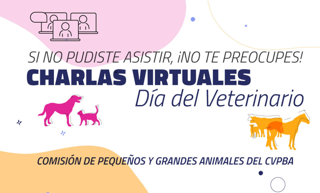 dia-vet-1068x643