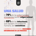 infografia-zoonosis