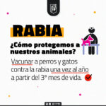 placa-rabia-100