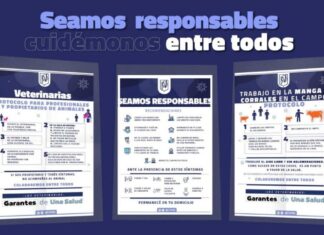 SEAMOS RESPONSABLES: Cuidémonos entre todos
