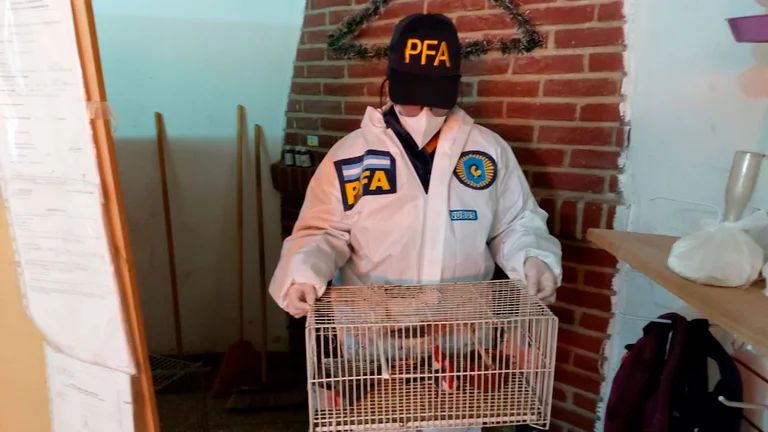 Psitacosis