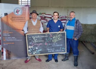 El agradecimiento es la memoria del corazón