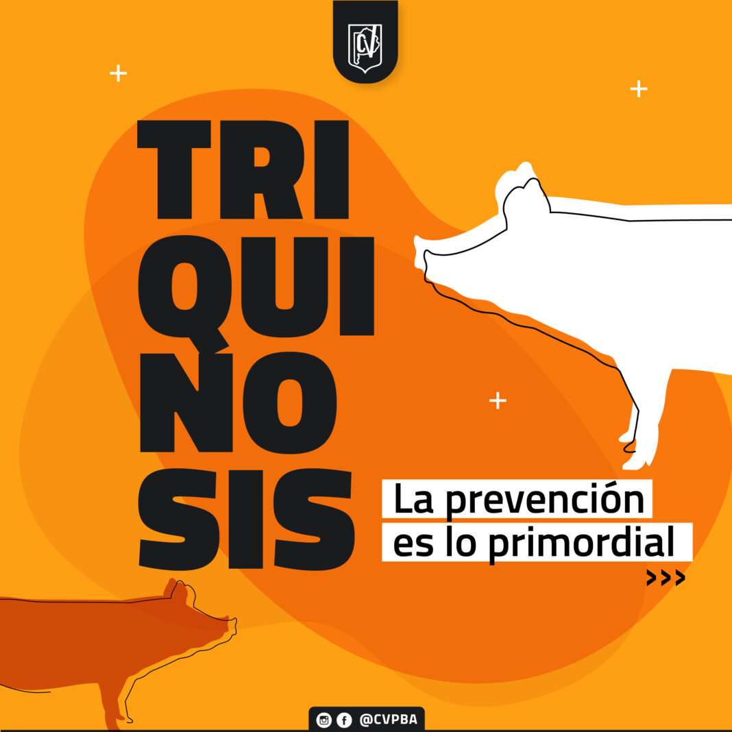 encuentro virtual - prevencion de PPC@2x-100