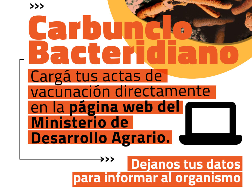 06-carbunclo-actas de vacunacion-feed (1)