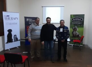 Jornadas de Actualización Profesional en el Distrito 4