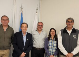 Profesionalizar las oportunidades productivas
