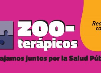 Comienza la segunda etapa del trabajo de la Coordinación de Control Comercial Comienza la segunda etapa del trabajo de la Coordinación.