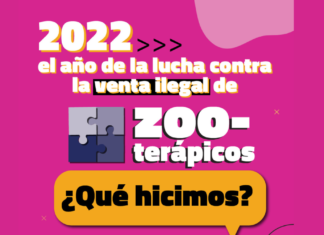 2022, el año de la lucha contra la venta ilegal de zooterápicos