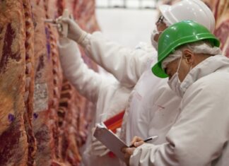 Veterinarios de Registro: Los contratos se podrán pactar en GAVET