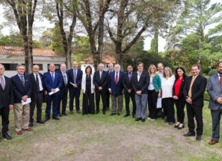 Las farmacias podrán dispensar medicamentos recetados por veterinarios Las farmacias podrán dispensar medicamentos recetados por veterinarios.