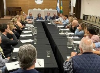 Análisis interdisciplinario de la violencia hacia los profesionales