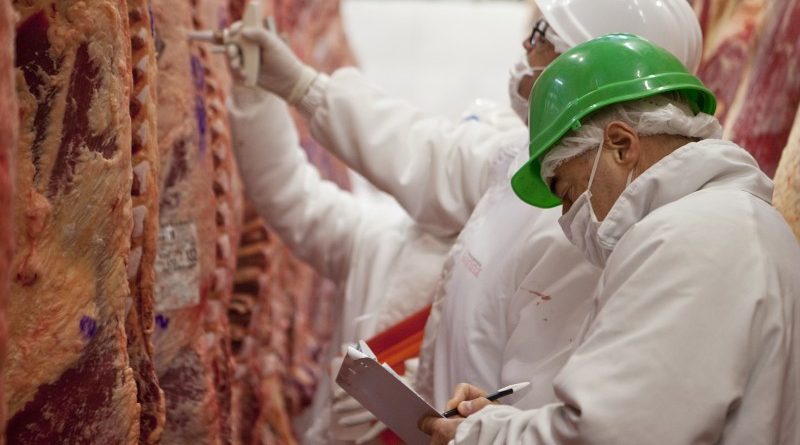 controles-800x445 Veterinarios de Registro