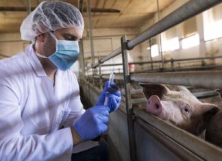 Día Mundial de las Zoonosis: el rol de los veterinarios en la Salud pública Día Mundial de las Zoonosis