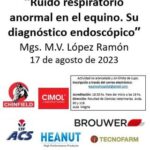 Equinos-UNLP