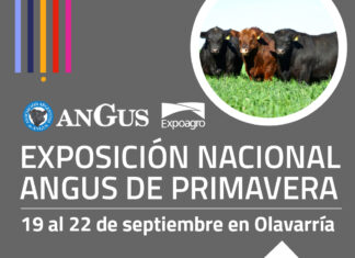 El CVPBA en la ExpoAngus de Primavera