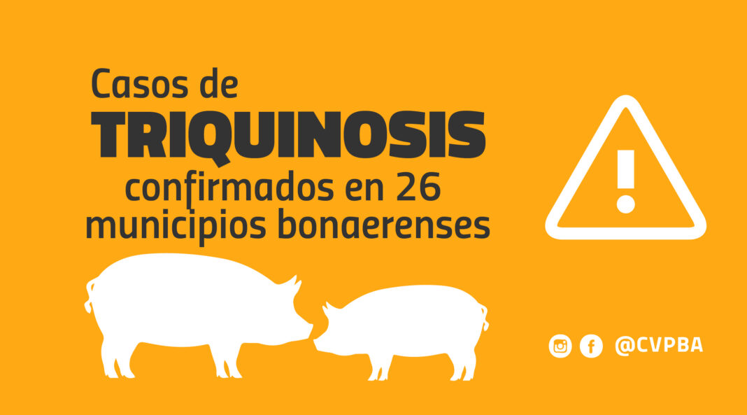 010-triquinosis-web