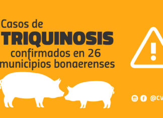 Casos de triquinosis confirmados en 26 municipios bonaerenses
