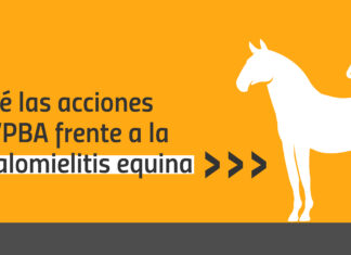 Conocé las acciones del CVPBA frente a la Encefalomielitis equina