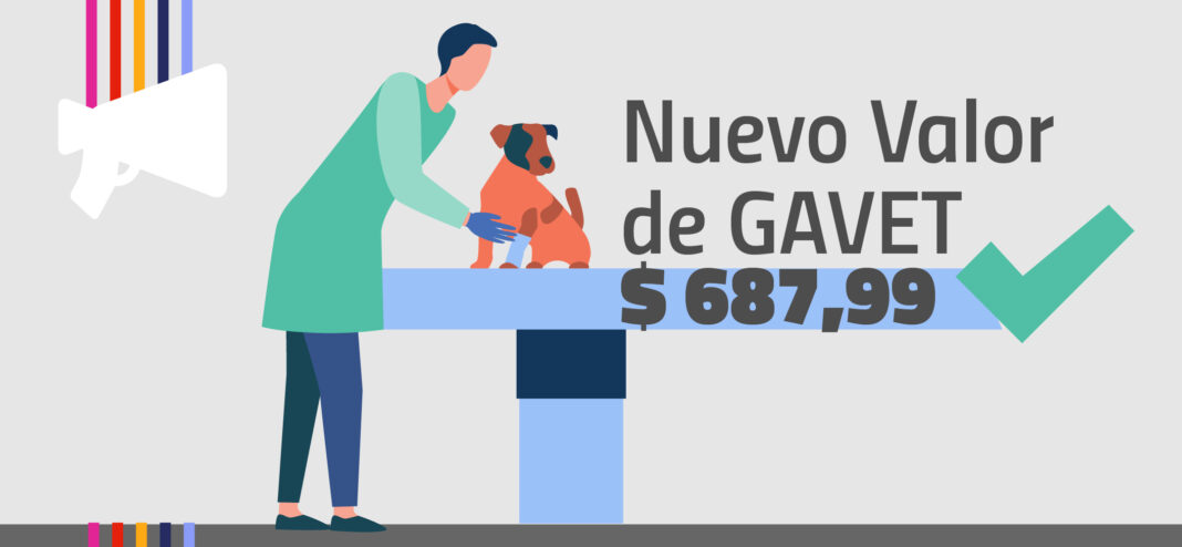 012-gavetenero24-web