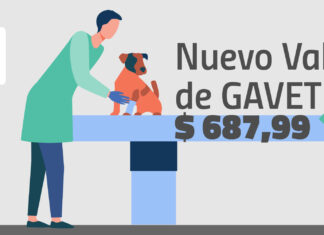 Nuevo valor del GAVET a partir del 1 de enero