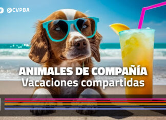 Animales de compañía – Vacaciones compartidas