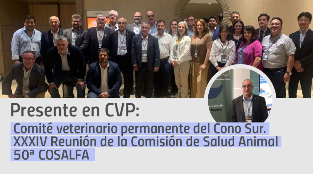 05-PRESENTE EN CVP-WEB