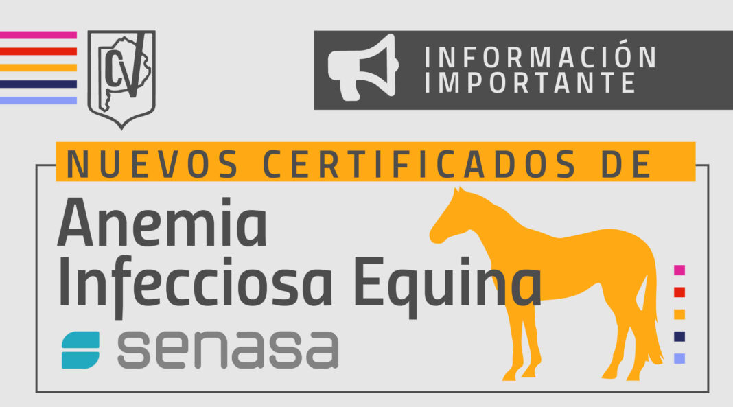 07-anemia inf equina-web