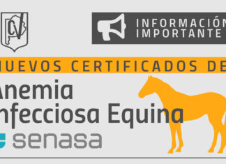Veterinarios acreditados en sanidad equina por el SENASA