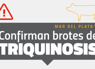 Alerta de salud en Mar del Plata