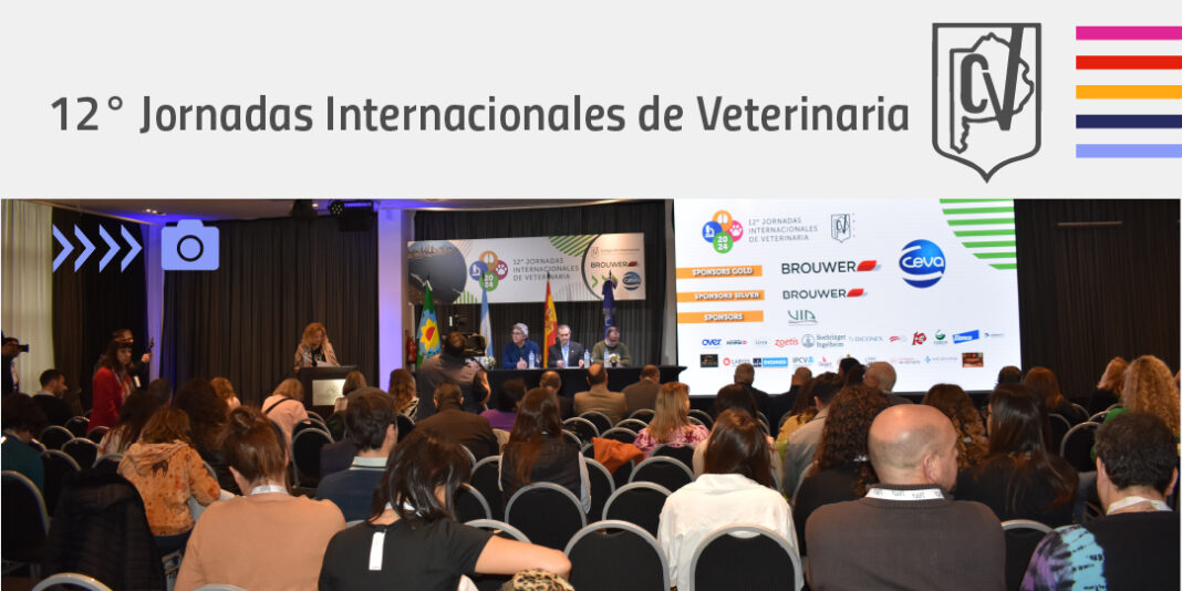 08-jornadas-WEB
