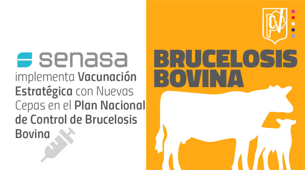08-planvacunacion brucelosis-web
