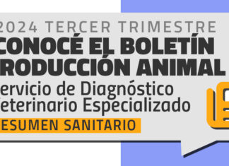 Boletin Produccion Animal – 2024 Tercer Trimestre