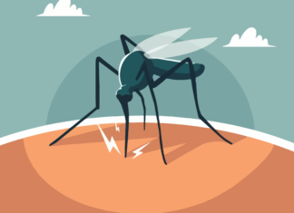 DENGUE: Material de Difusión Disponible