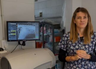 #Protagonista | La Importancia de la Hemoterapia