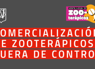 Comercialización de zooterápicos fuera de control