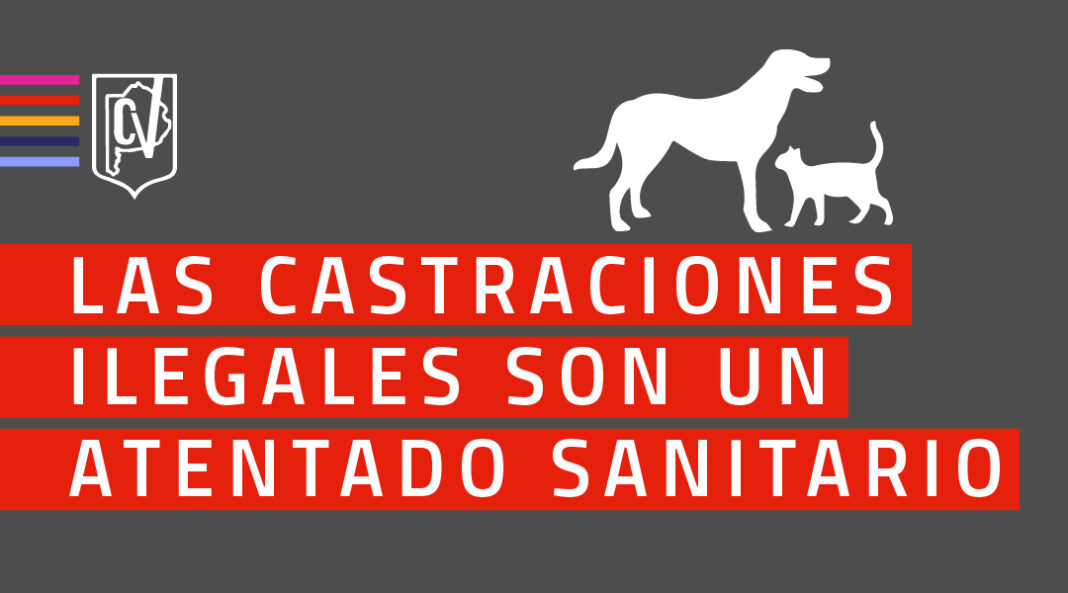 012-las castraciones ilegales son atentado sanitario-web