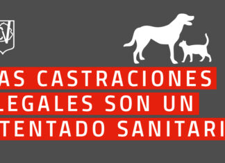 Las castraciones ilegales son un atentado sanitario