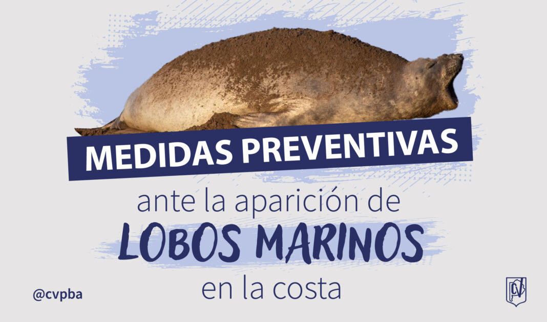 INFORMATIVO LOBOS MARINOS-03