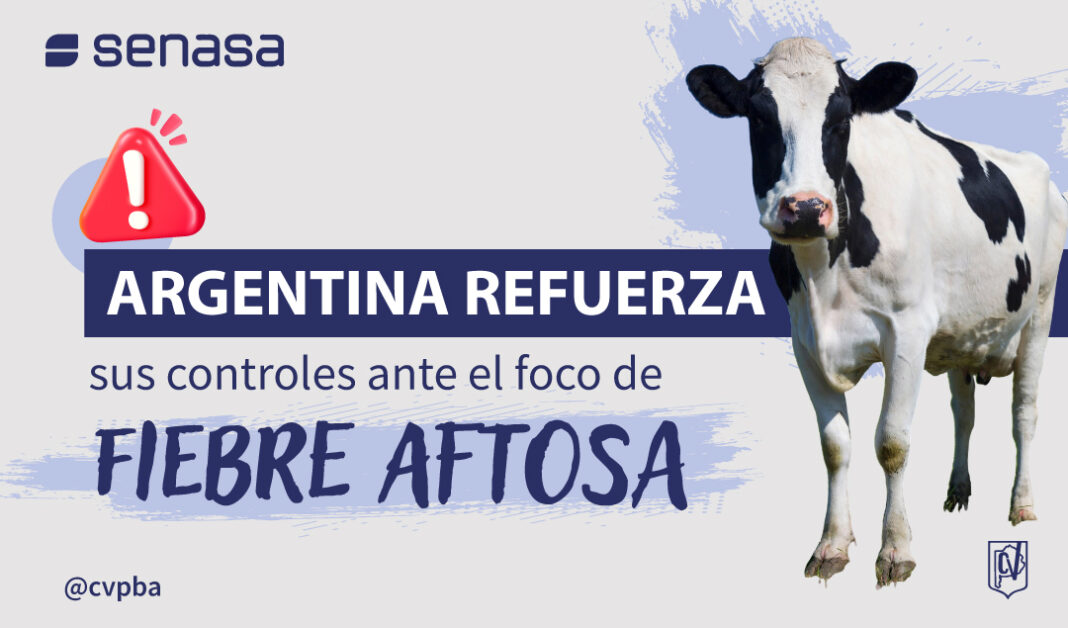 INFORMATIVO fiebre aftosa-03