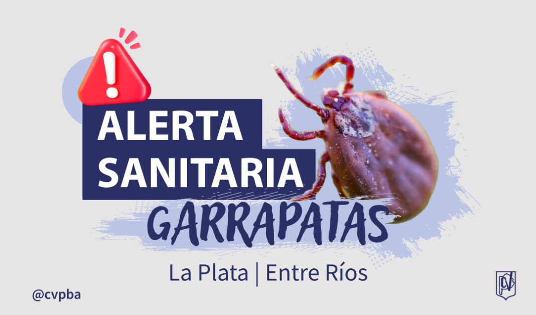 INFORMATIVO garrapatas-03