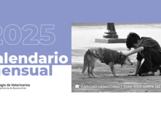Descarga el Calendario 2025 del CVPBA