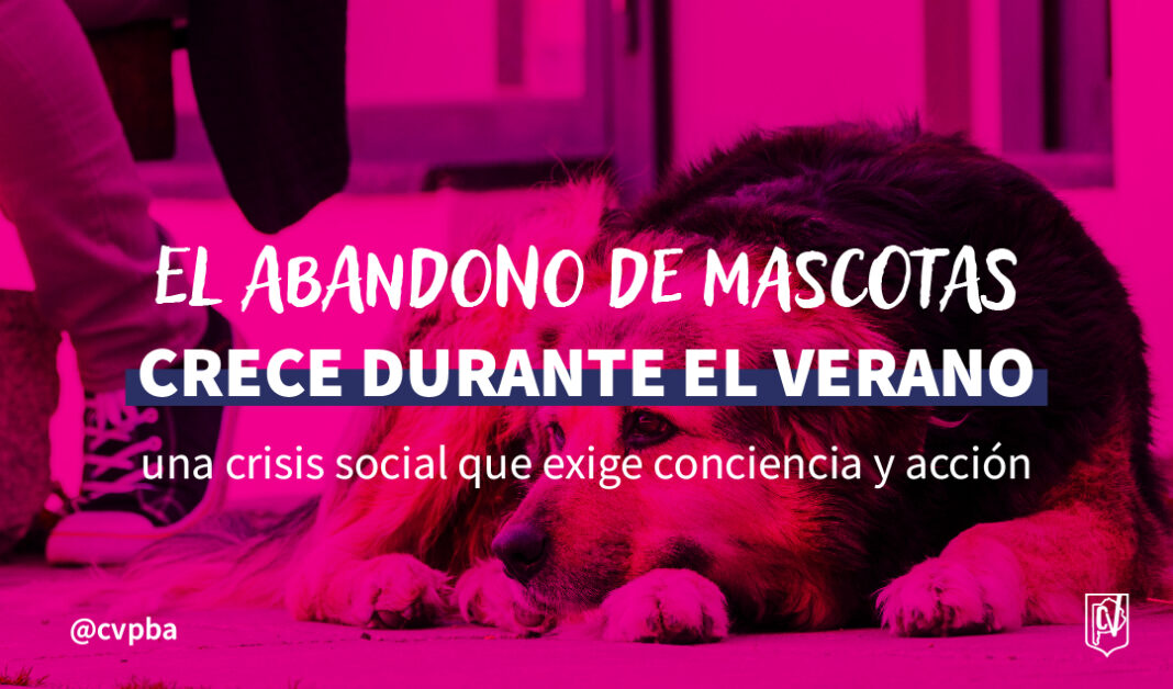 WEB ABANDONO DE MASCOTAS-03