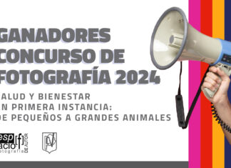 Conocé los ganadores del 4° Concurso Fotográfico