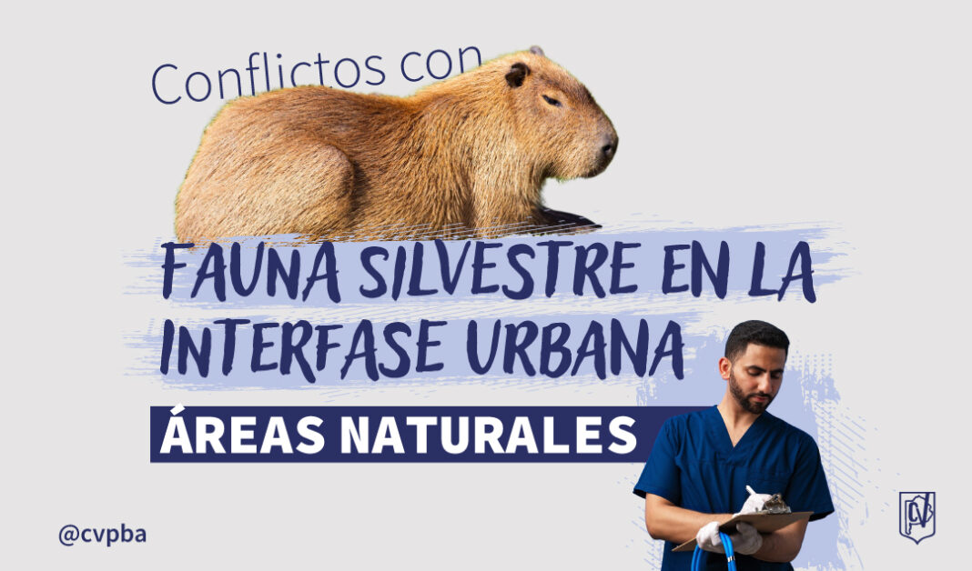 FAUNA SILVESTRE_Mesa de trabajo 1